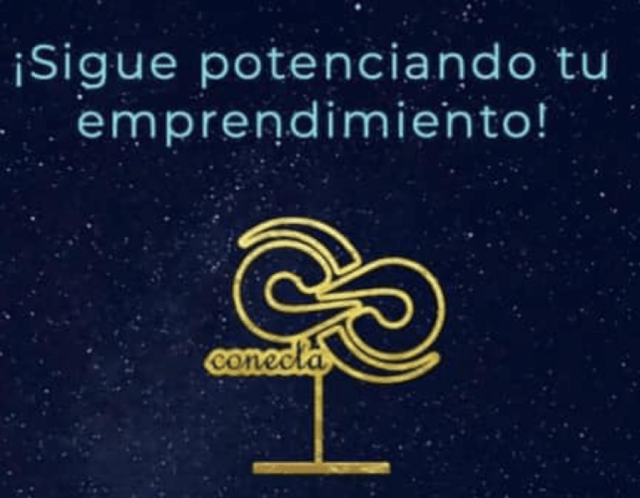 Potenciando el Emprendimiento Innovador CONECTA 2020