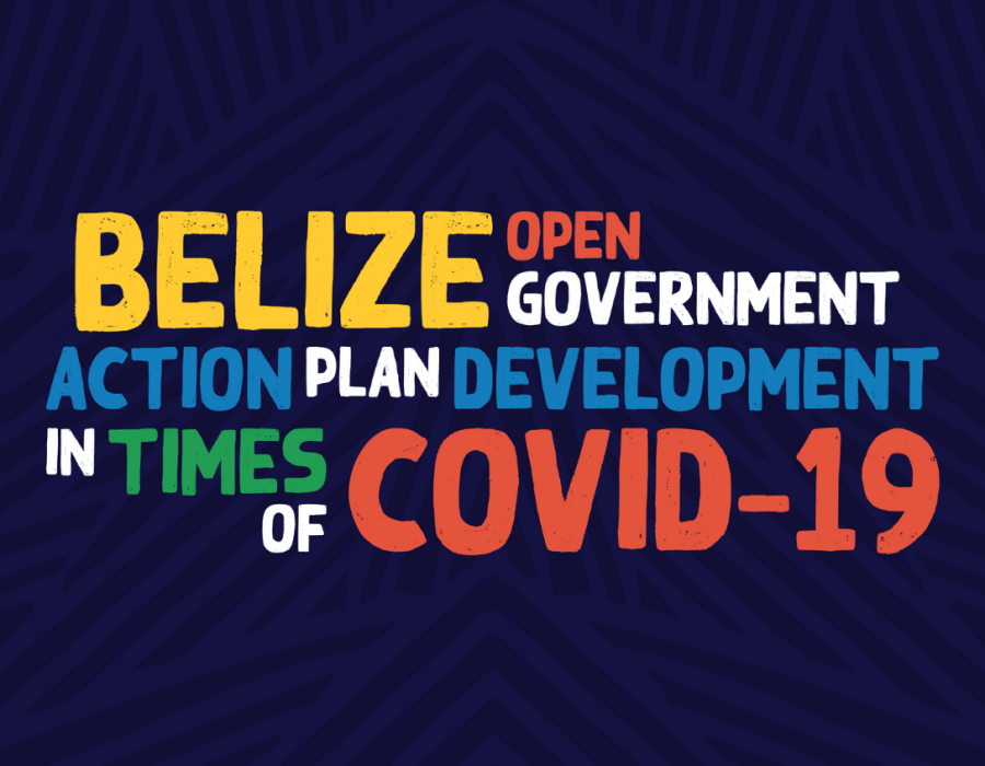 The OAS, The Trust for the Americas and the Open Gov Steering Committee will create the Open Gov National Action Plan