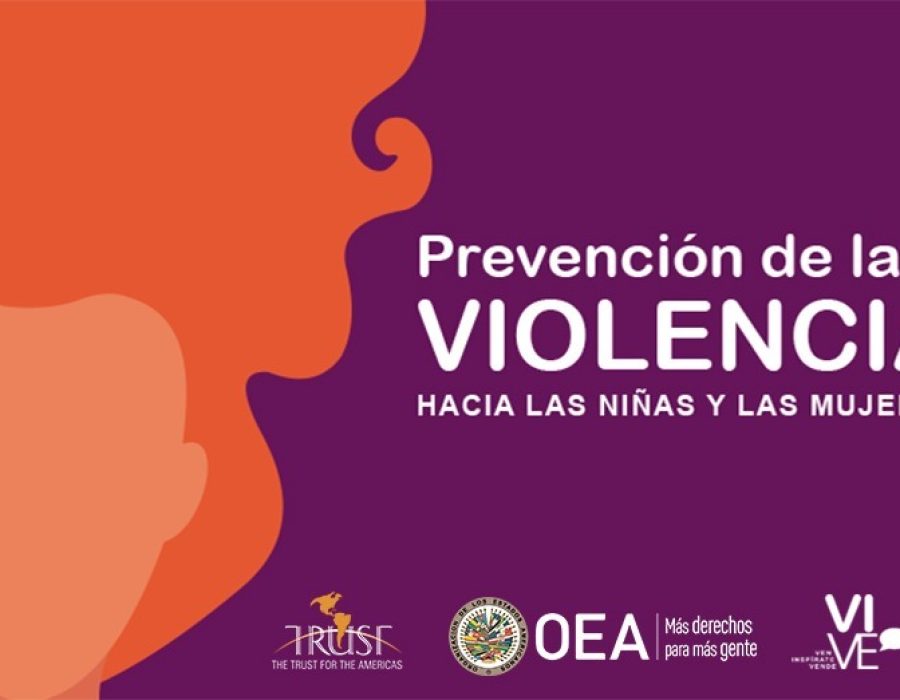 Manual de Prevención de Violencia hacia las Mujeres y Niñas