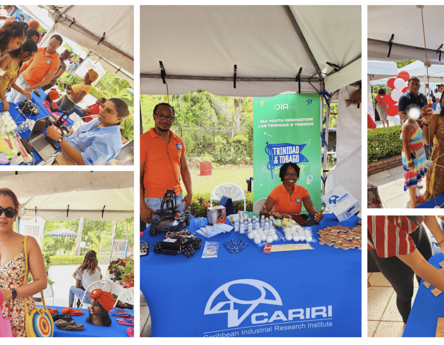 Showcasing the DIA Lab TT at the Village Wallawah Event 