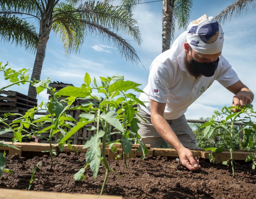 Programa DIA promueve la acción por el clima